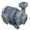 Picture of EVERGUSH CLOSE-COUPLED VORTEX CENTRIFUGAL PUMP CP-21.5